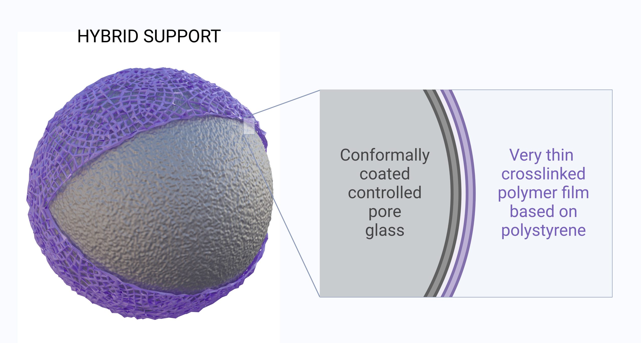 Conceptual visualization of hybrid support based on polymer-coated CPG 