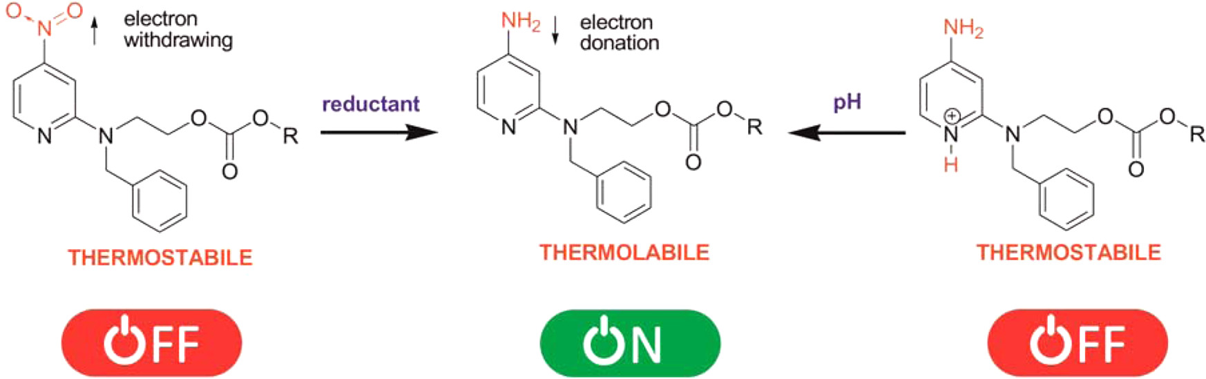2 Modulowanie stabilności 2-pirydynylowych termolabilnych grup ochronnych grupy hydroksylowej za pomocą podejścia „przełącznika chemicznego” 
