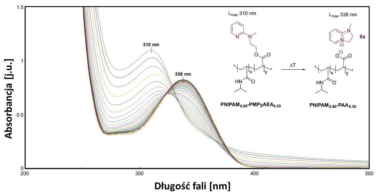 UV-Vis spectra of the intramolecular cyclization process for PNIPAM0.80-PMPyAEA0.20 