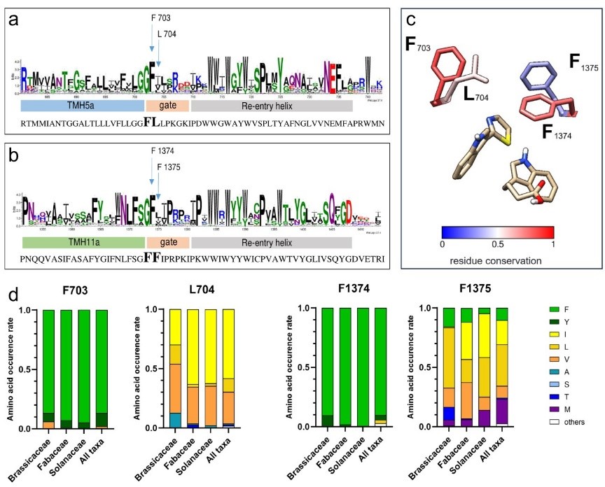 Publication abstract A key residue of the extracellular gate provides quality control contributing to ABCG substrate specificity.