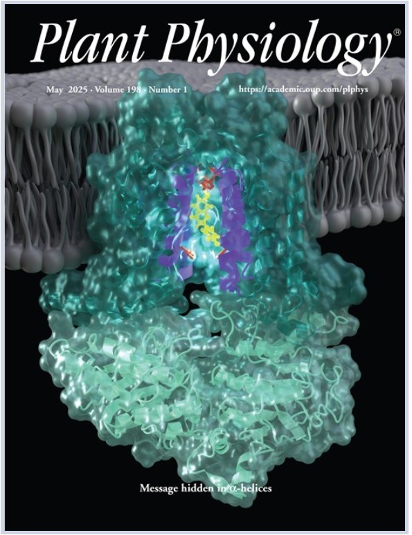 Cover of Plant Physiology, May 2025, vol. 198 no. 1.