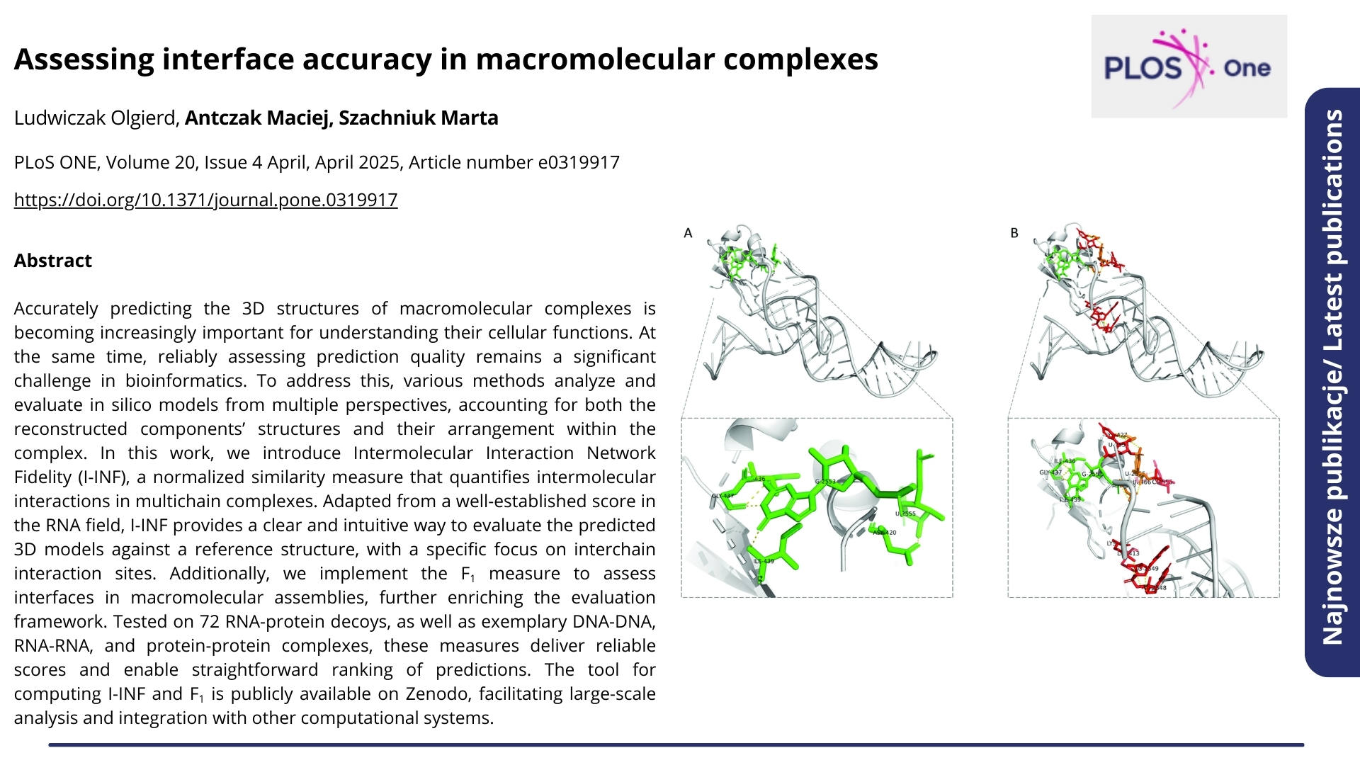 Najnowsze publikacje. Nagłówek: &quot;Assessing interface accuracy in macromolecular complexes&quot;. PLoS ONE, Volume 20, Issue 4 April, April 2025, Article number e0319917. Autorzy: Ludwiczak Olgierd, Antczak Maciej, Szachniuk Marta. Poniżej abstrakt.  ENG: Latest publications. Headline: &quot;Assessing interface accuracy in macromolecular complexes&quot;. PLoS ONE, Volume 20, Issue 4 April, April 2025, Article number e0319917. Authors: Ludwiczak Olgierd, Antczak Maciej, Szachniuk Marta. Below is the abstract.