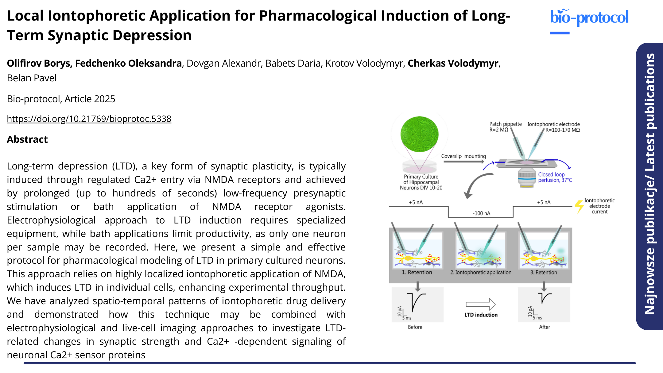 Publikacja Local Iontophoretic Application for Pharmacological Induction of Long-Term Synaptic Depression. Kliknij, by zobaczyć więcej.