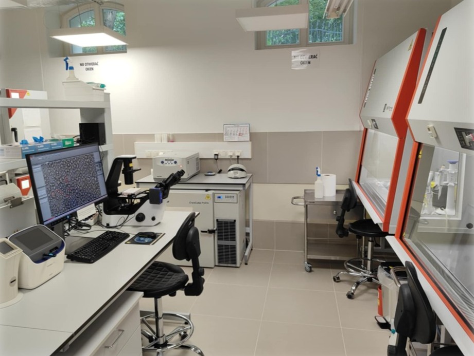  Interior of a cell culture laboratory with laminar flow cabinets, a microscope, and small lab equipment