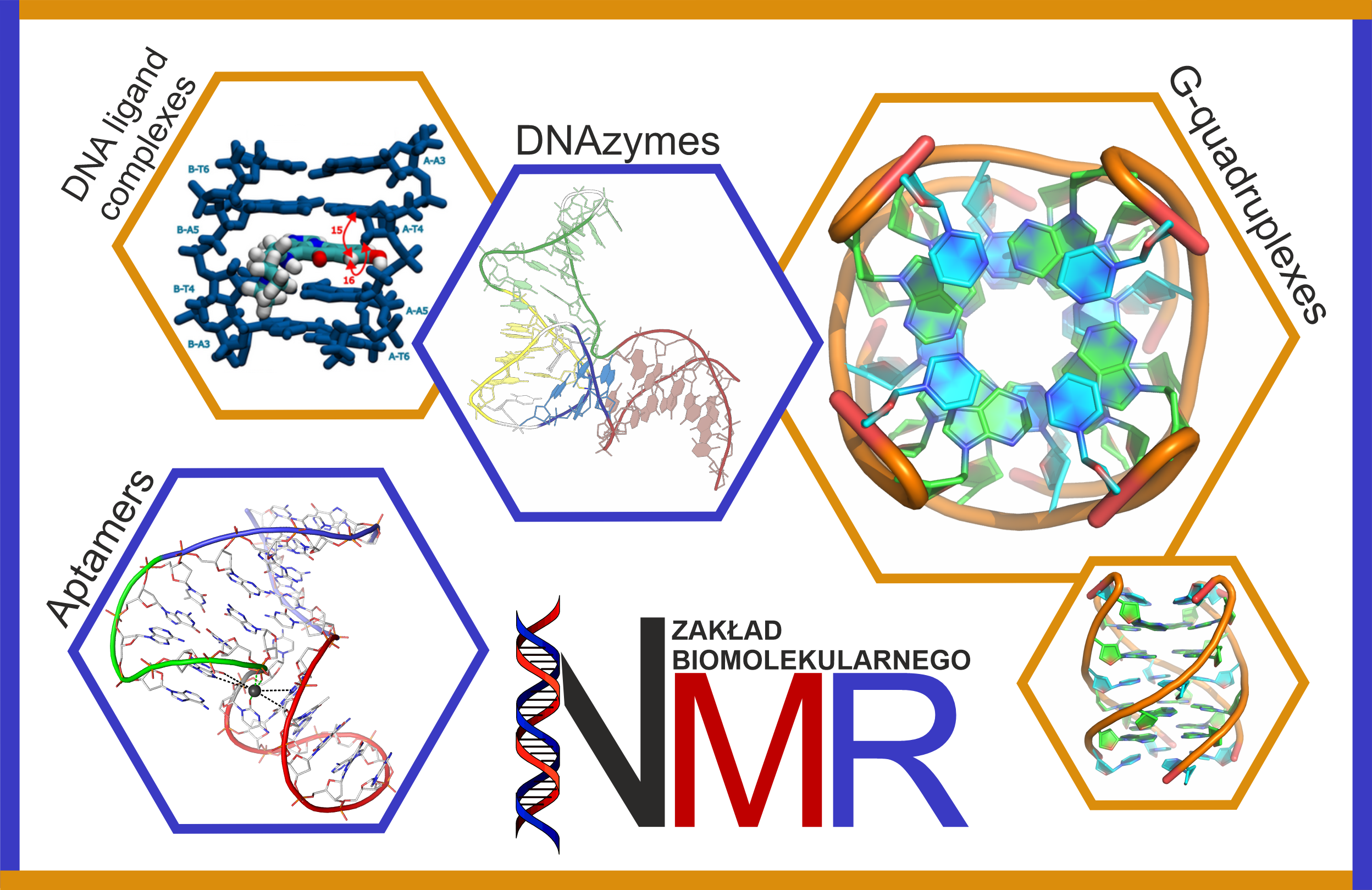 Main types of DNA and RNA systems studied in the Department