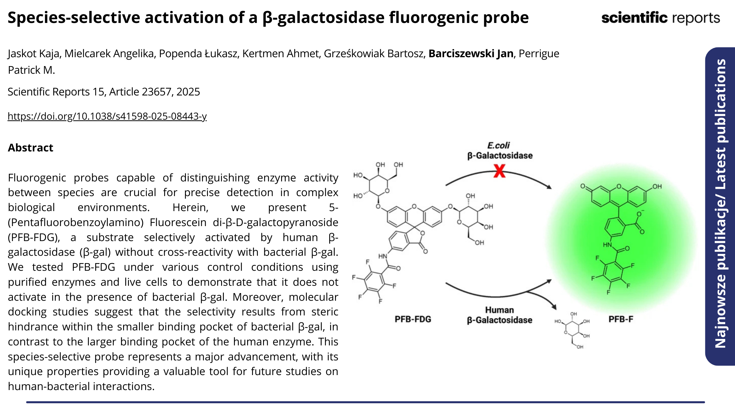 Publikacja Species-selective activation of a β-galactosidase fluorogenic probe. Kliknij, by zobaczyć więcej.