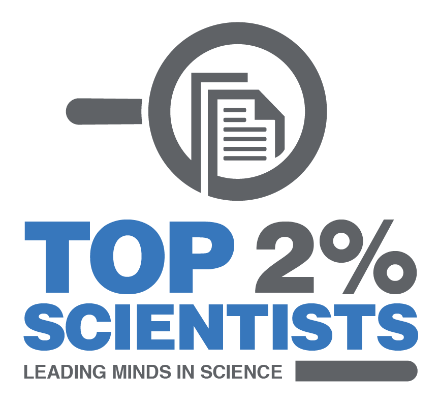 Graphic - visual indicator of the ranking with the text Top 2%