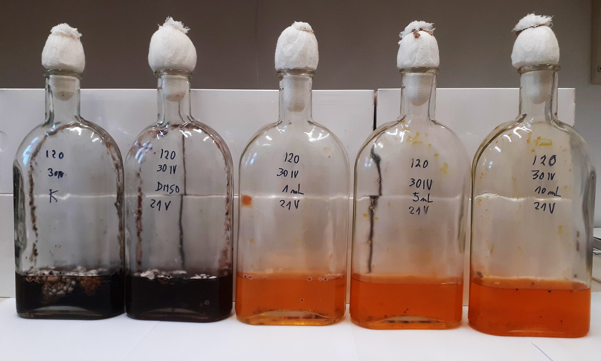 Biosynteza analogów produktów naturalnych - karmienie substratowe (model: Ramularia collo-cygni)  