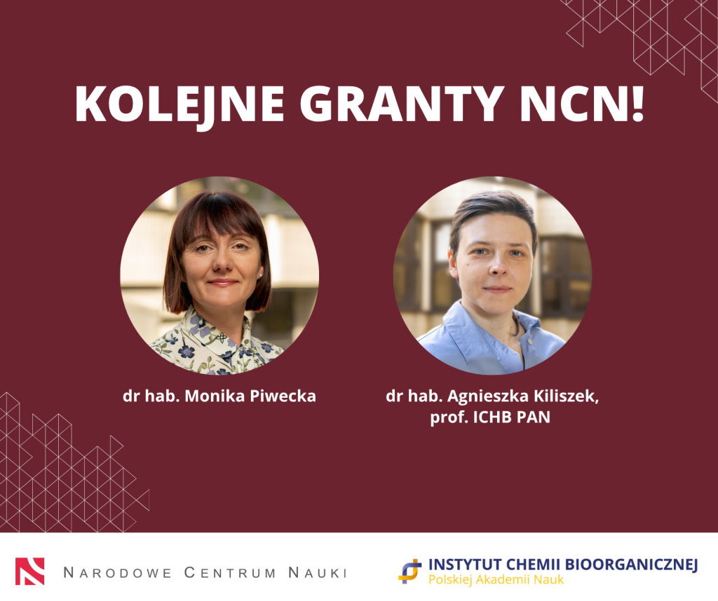 Grafika przedstawia twarze dwóch naukowczyń, na bordowym tle, których projekty otrzymały finansowanie z NCN. Na spodzie grafiki znajdują się loga Instytutu Chemii Bioorgaicznej PAN oraz Narodowego Centrum Nauki
