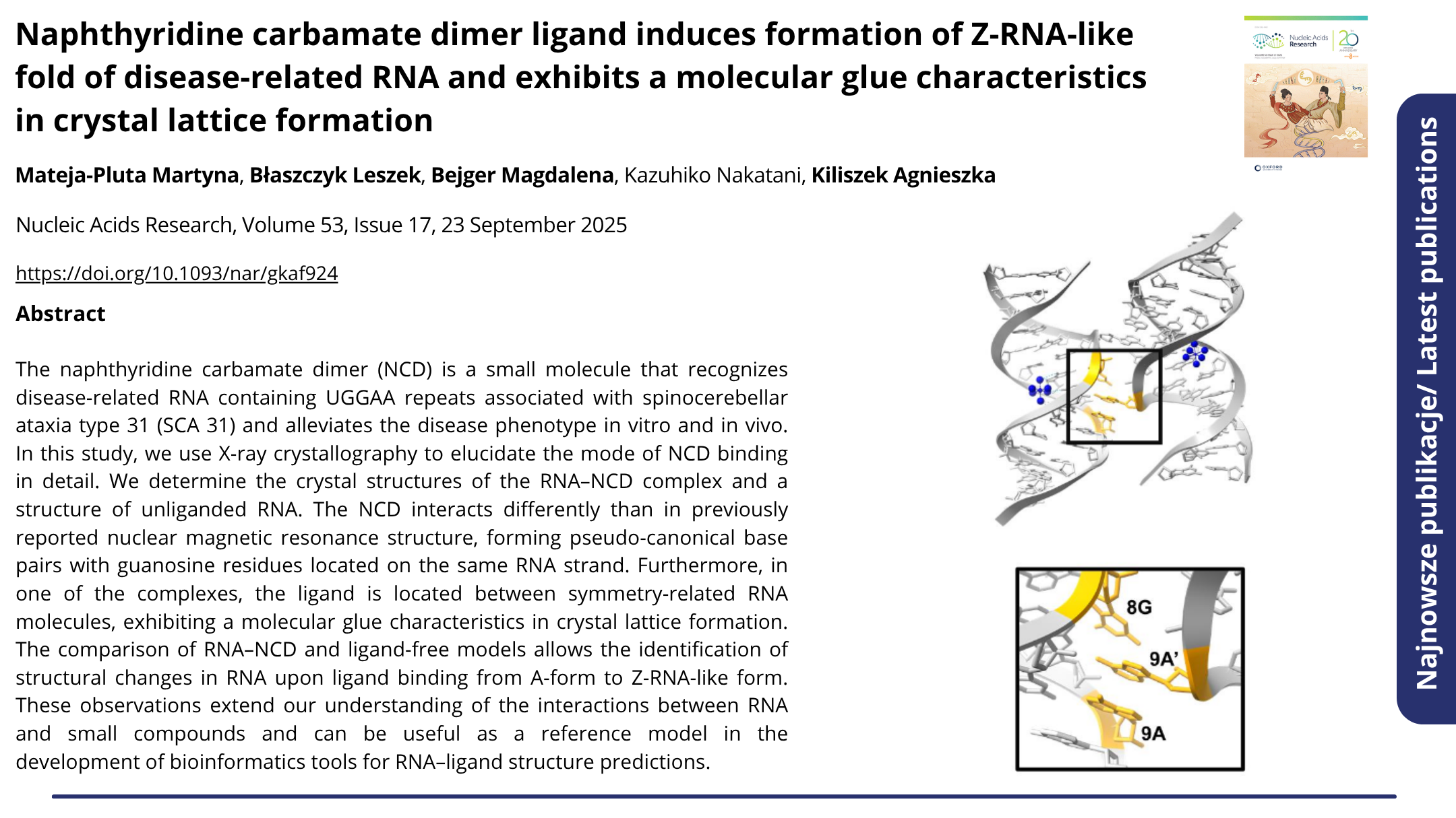 Publikacja Naphthyridine carbamate dimer ligand induces formation of Z-RNA-like fold of disease-related RNA and exhibits a molecular glue characteristics in crystal lattice formation. Kliknij, by zobaczyć więcej.