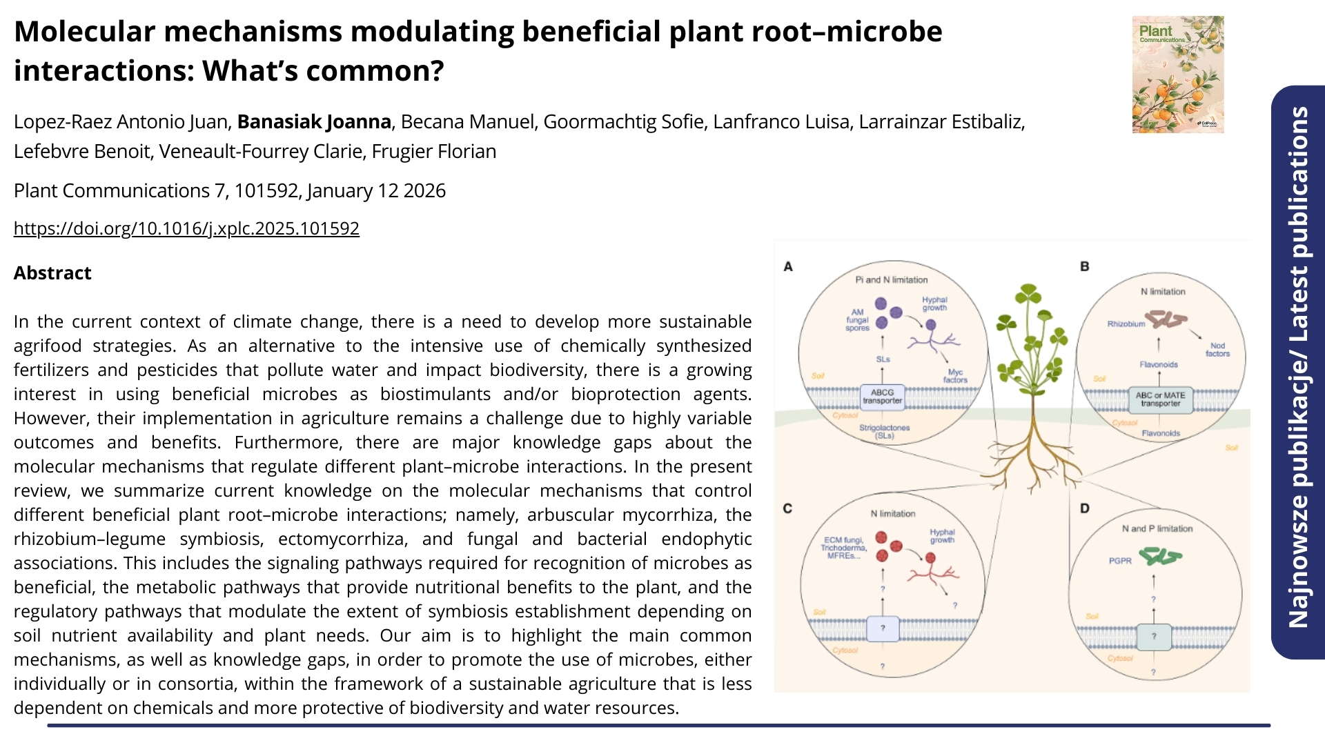  Publikacja Molecular mechanisms modulating beneficial plant root–microbe interactions: What’s common?. Kliknij, by zobaczyć więcej.