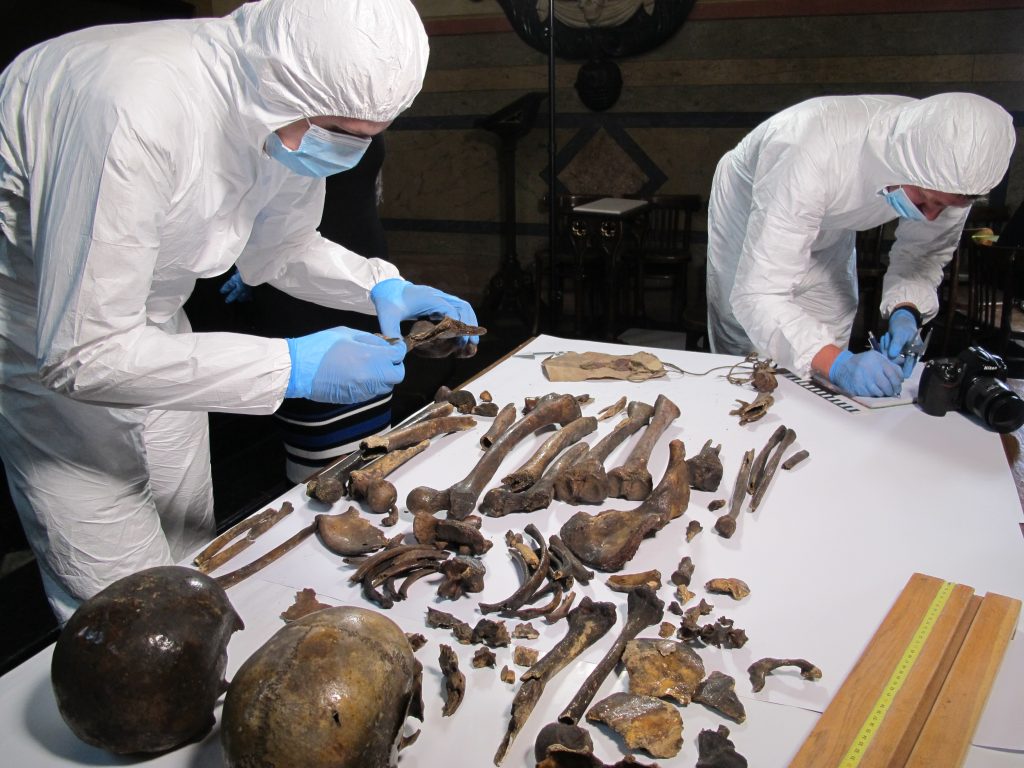 The photograph depicts scientists examining a skeleton to obtain fossil genetic material for archaeogenomic research