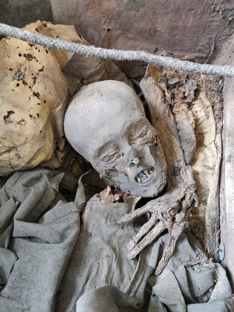 The photograph depicts mummified remains used to isolate fossil genetic material for archaeogenomic research