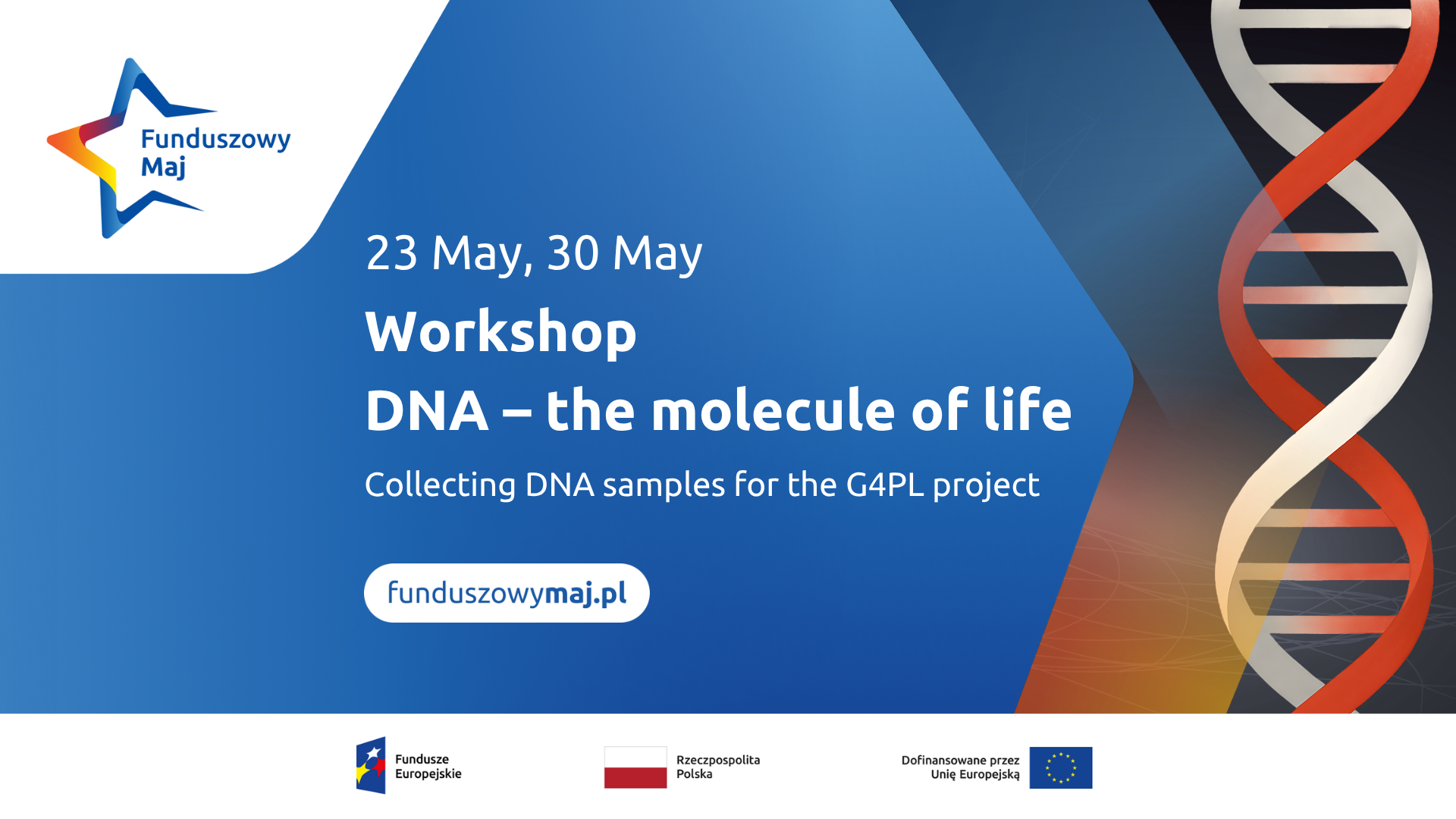 Graphic featuring the Funduszowy Maj logo. Text: "23 May, 30 May. DNA – the building block of life workshop. Collecting DNA samples for the G4PL project. On the right-hand side of the graphic is a red and white double helix. At the bottom is the European Funds logo.