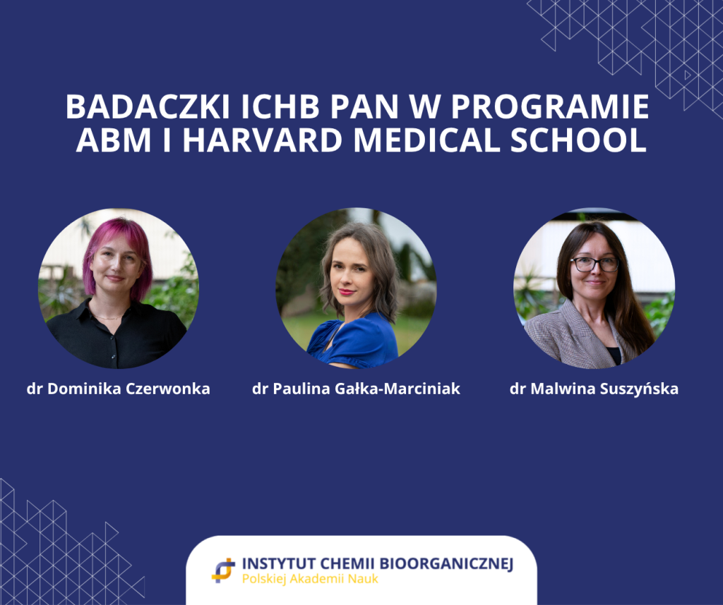 Zdjęcia portretowe 3 młodych kobiet, które zakwalifikowały się do programu.