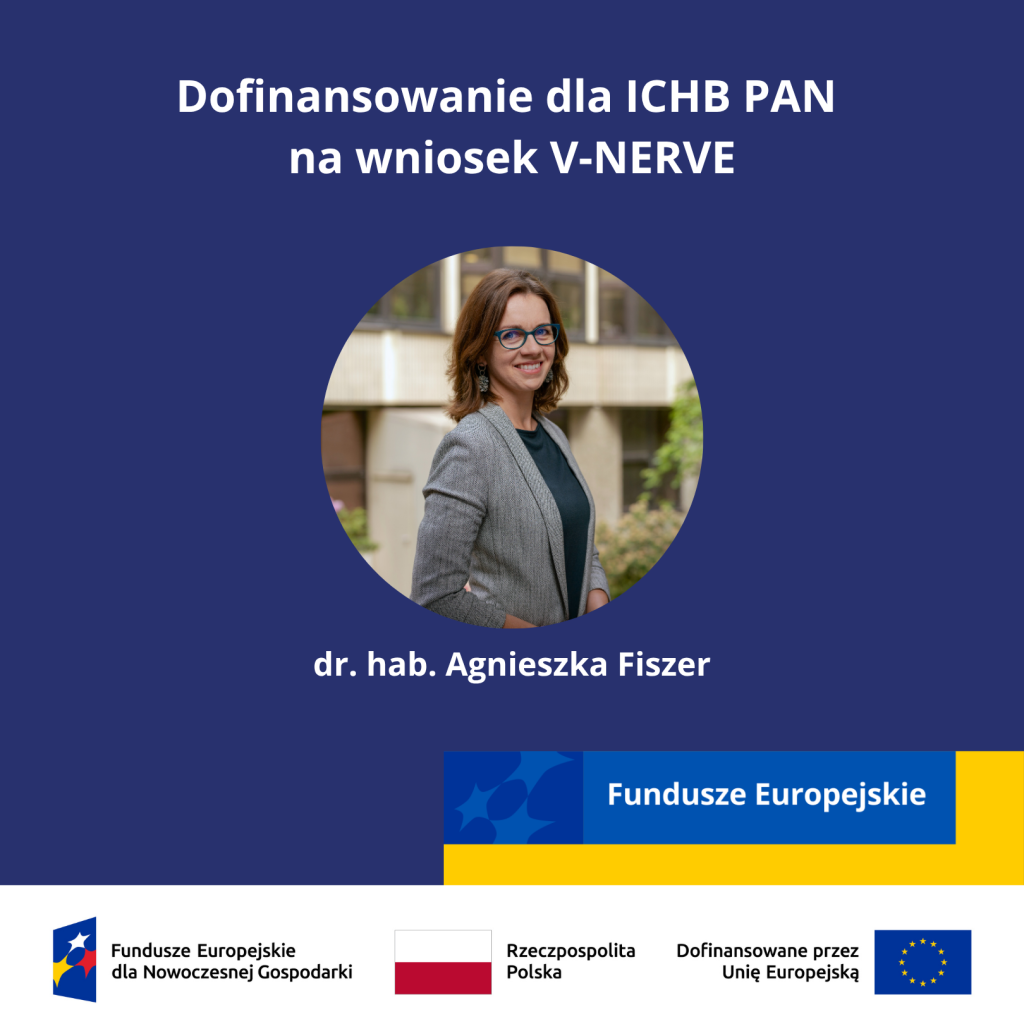 Grafika: "Dofinansowanie dla ICHB PAN na wniosek V-NERVE". Zdjęcie portretowe Agnieszki Fiszer- kierownika projektu. Na dole oznaczenie Funduszy Europejskich dla Nowoczesnej Gospodarki