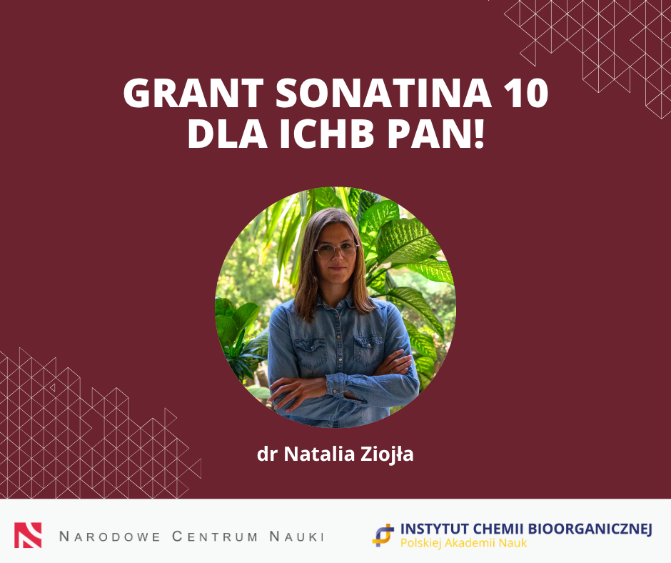 Grafika informacyjna z napisem „GRANT SONATINA 10 DLA ICHB PAN!” oraz zdjęciem dr Natalii Ziojły. Na dole znajdują się logotypy Narodowego Centrum Nauki oraz Instytutu Chemii Bioorganicznej PAN. 